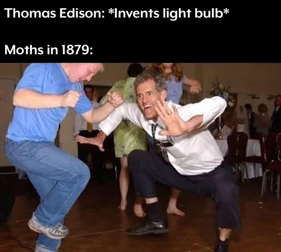 This meme is a humorous comparison between Thomas Edison's invention of the light bulb and the discovery of moths' ability to fly at night. The image depicts two men in a dramatic pose, with one captioned "Thomas Edison: *Invents light bulb*" and the other captioned "Moths in 1879: *Still figuring out how to fly at night*".